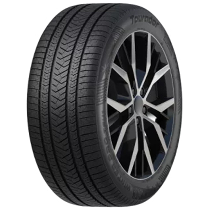 Tourador Winter Pro TSU1 255/50 R19 V107 